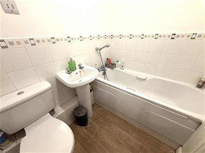 Picture 10